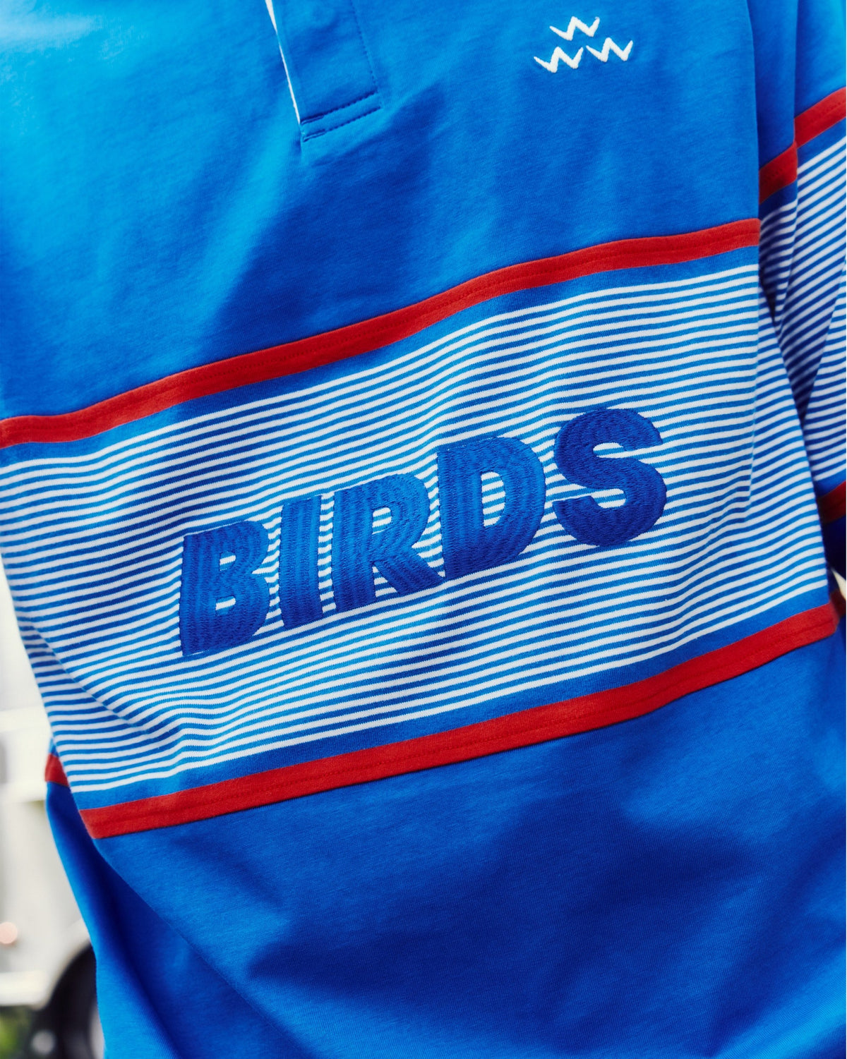 Detail of a blue sweater with a striped chest panel, embroidered red piping, and the word BIRDS.