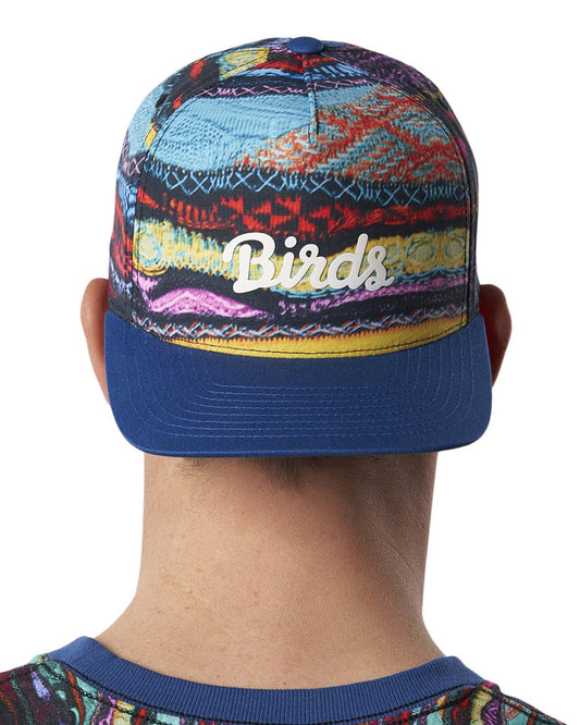 Back of a person wearing a multi-coloured Coogi print snapback cap with a blue peak and white script logo.