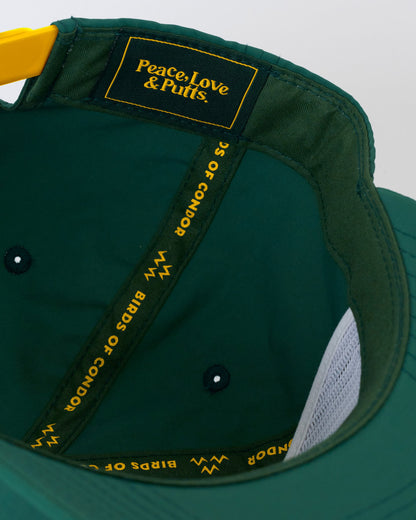 Division Snapback