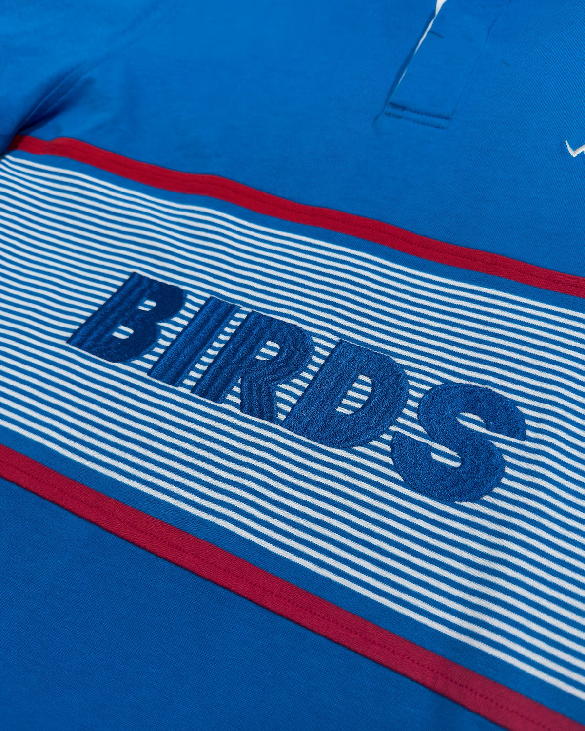 Detail of a blue cotton sweater with a red-trimmed striped chest band and embroidered BIRDS lettering.