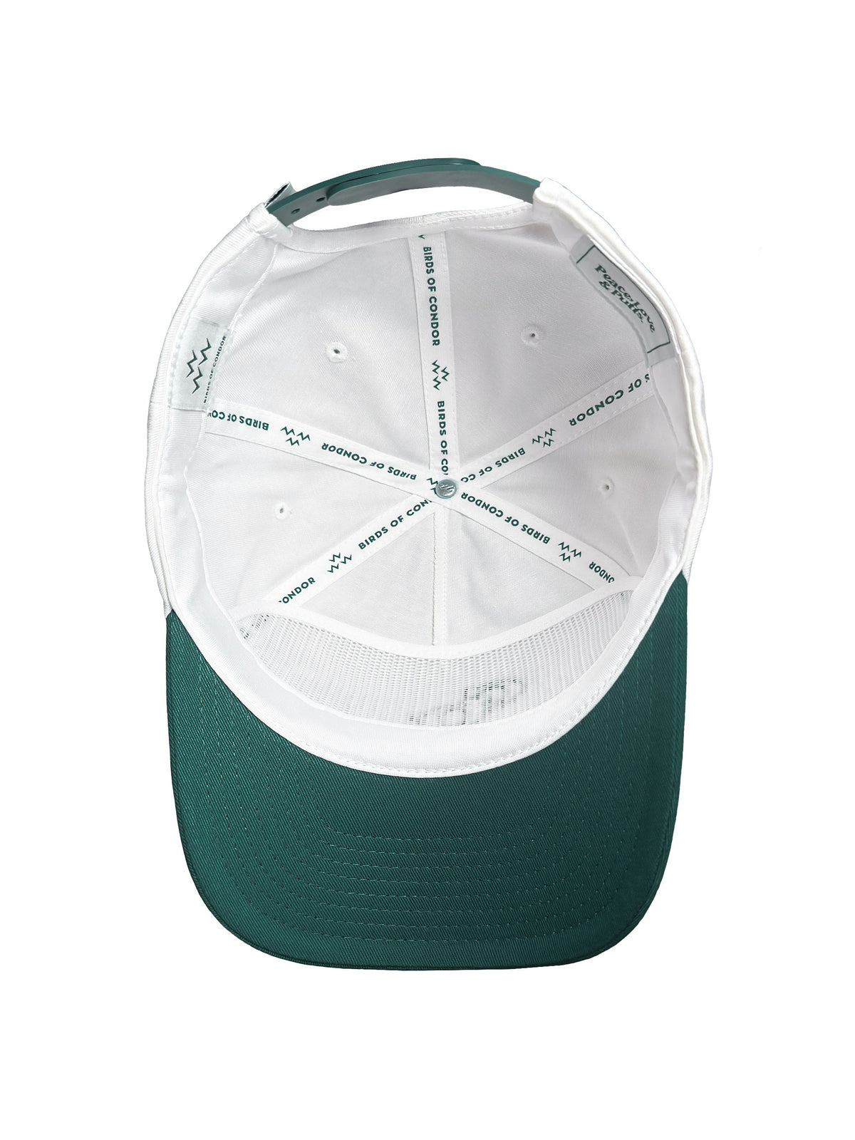 Green cap with white mesh on a white background