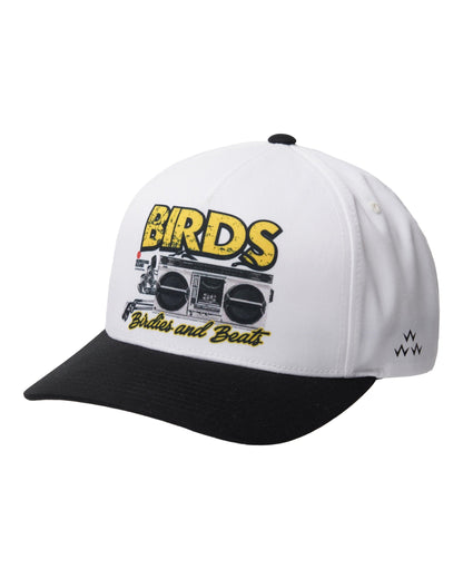 I let my tape rock 'til my tape popped.&nbsp;  Grab your Birdies and Beats in surround sound yo!
