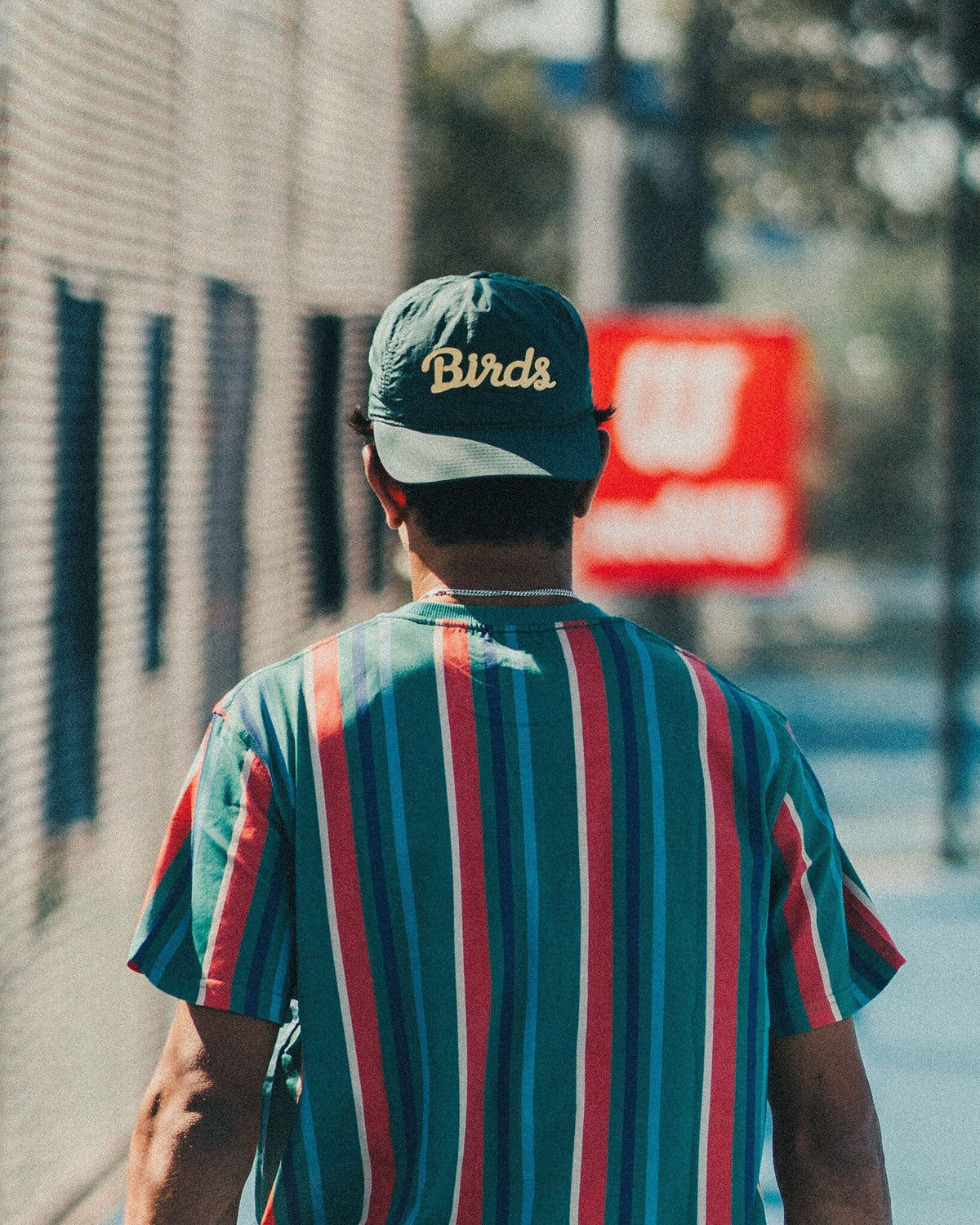 A person seen from behind wearing an alpine green cap with a yellow script graphic and a striped shirt.