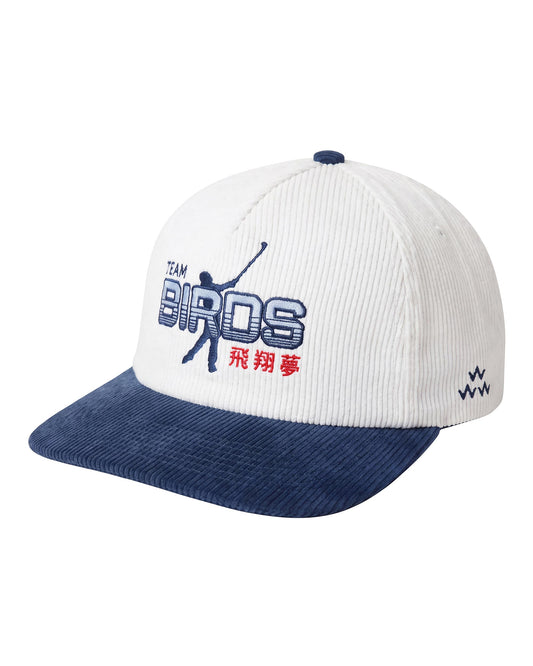 White and blue corduroy snapback hat featuring embroidered Team Birds text and graphic in front shot.
