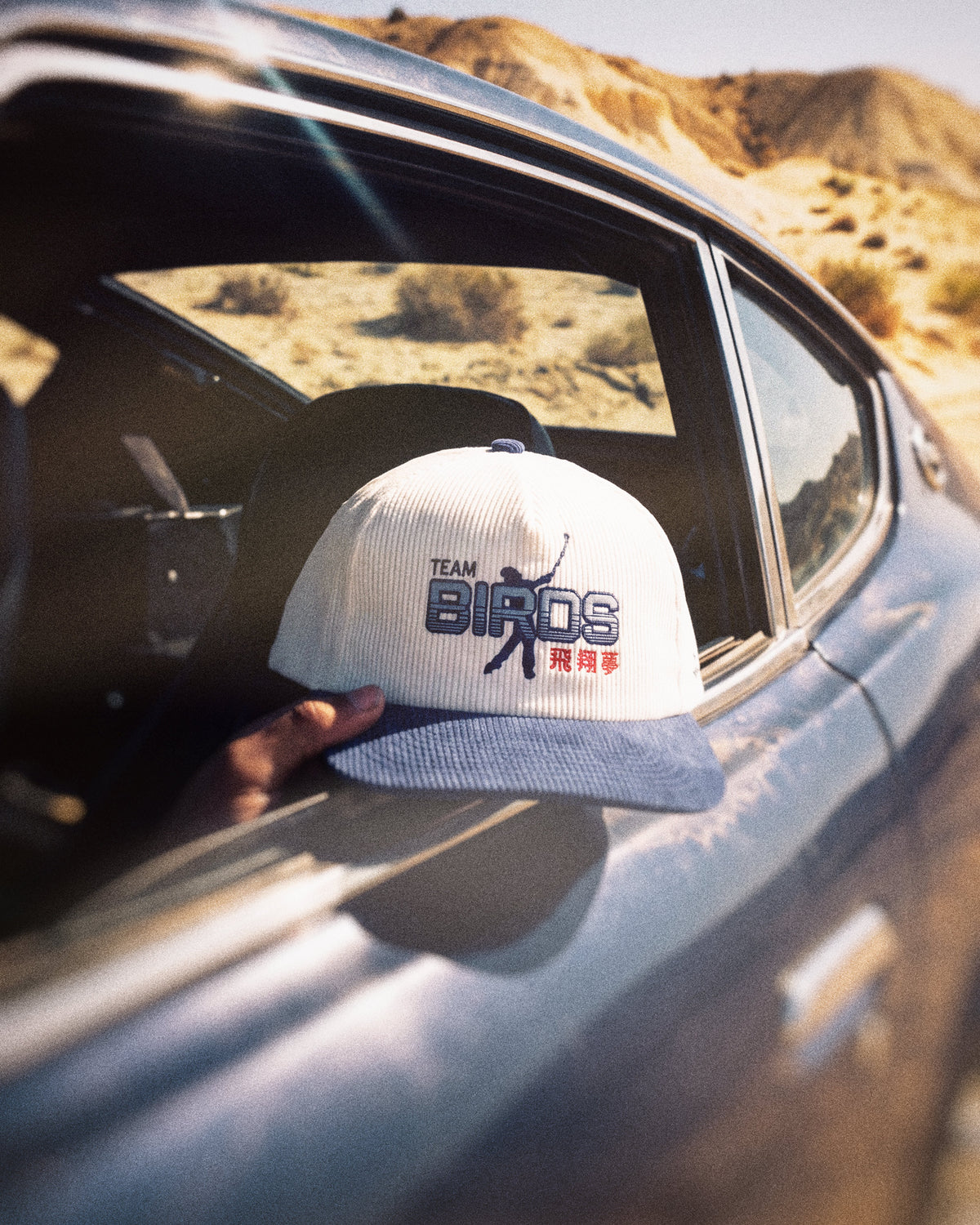 Team Birds Snapback