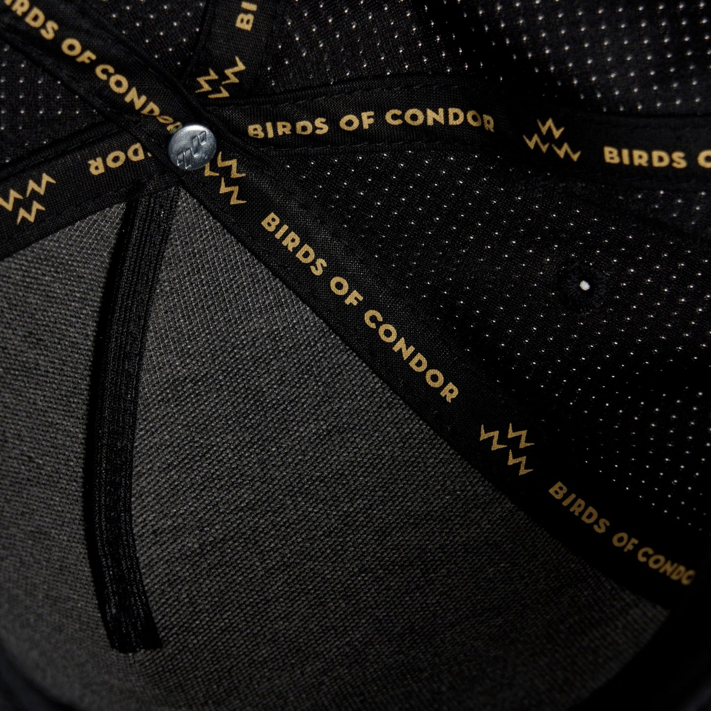 Triple Eagle Snapback