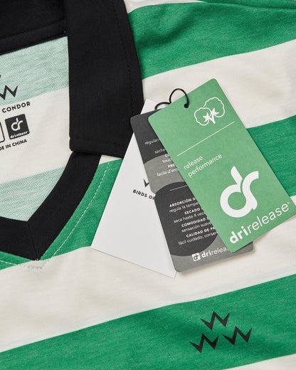 Detail of a green and white striped polo with a black collar and hanging tags.